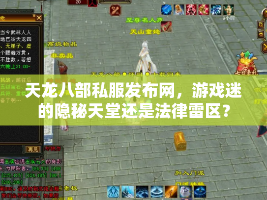 天龙八部私服发布网，游戏迷的隐秘天堂还是法律雷区？