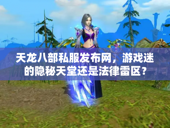 天龙八部私服发布网，游戏迷的隐秘天堂还是法律雷区？