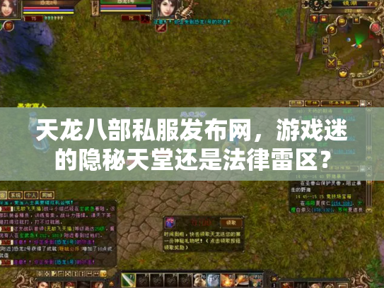 天龙八部私服发布网，游戏迷的隐秘天堂还是法律雷区？