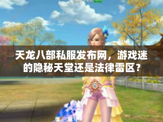 天龙八部私服发布网，游戏迷的隐秘天堂还是法律雷区？