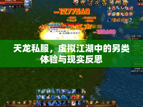 天龙私服，虚拟江湖中的另类体验与现实反思