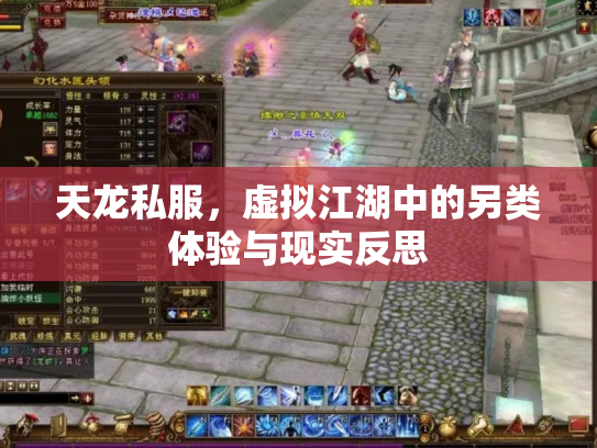 天龙私服，虚拟江湖中的另类体验与现实反思