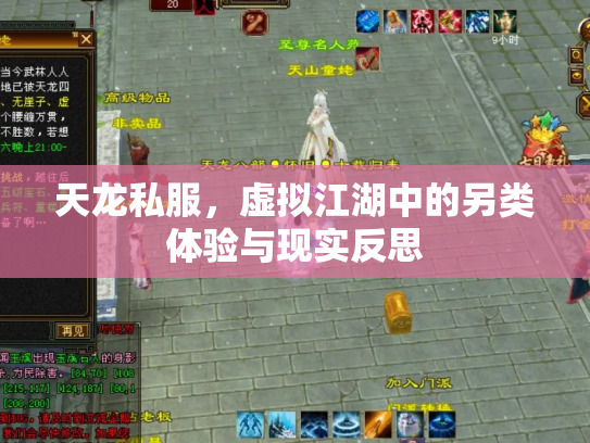 天龙私服，虚拟江湖中的另类体验与现实反思