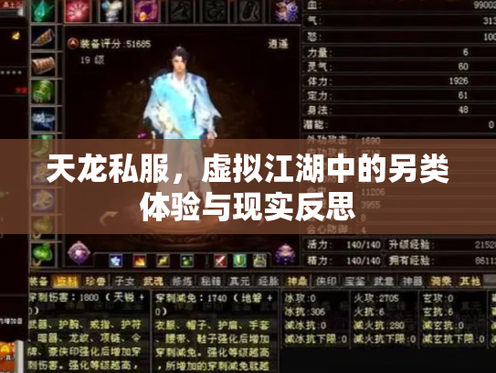 天龙私服，虚拟江湖中的另类体验与现实反思