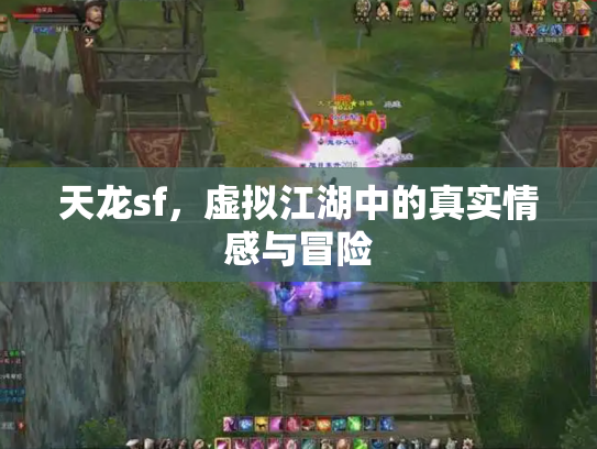 天龙sf，虚拟江湖中的真实情感与冒险