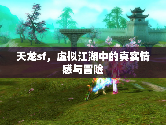 天龙sf，虚拟江湖中的真实情感与冒险