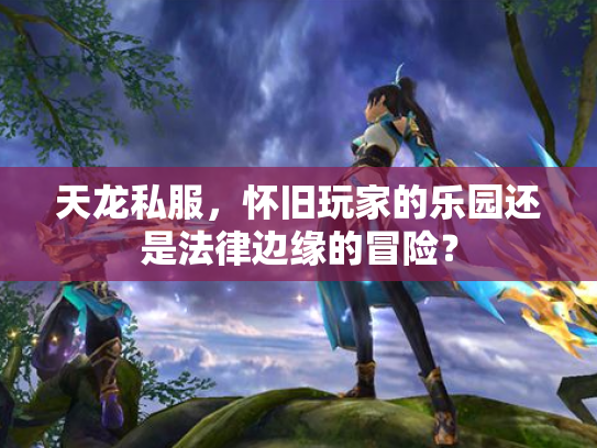 天龙私服，怀旧玩家的乐园还是法律边缘的冒险？