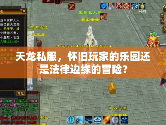 天龙私服，怀旧玩家的乐园还是法律边缘的冒险？