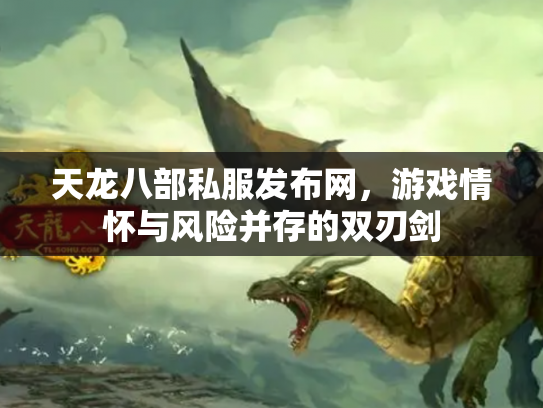 天龙八部私服发布网，游戏情怀与风险并存的双刃剑