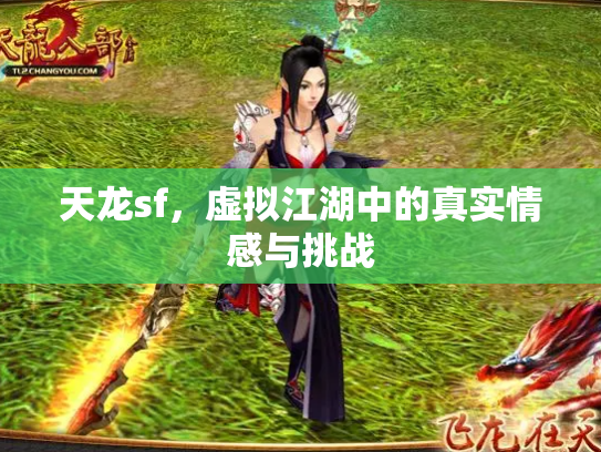 天龙sf，虚拟江湖中的真实情感与挑战