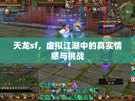 天龙sf，虚拟江湖中的真实情感与挑战