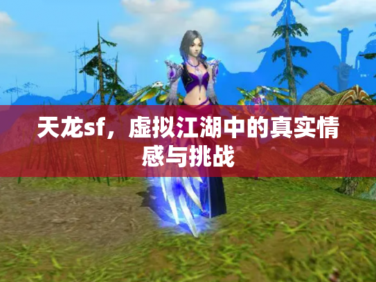 天龙sf，虚拟江湖中的真实情感与挑战