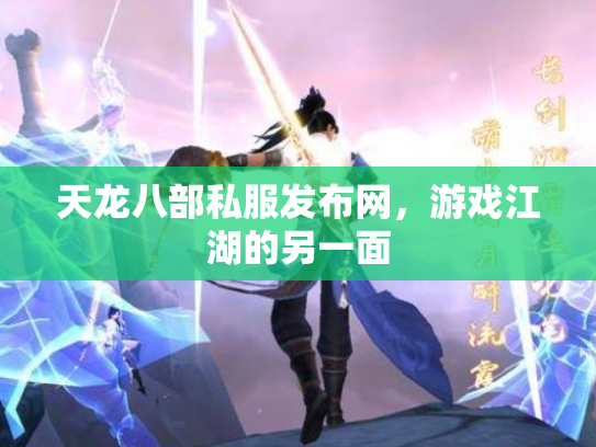 天龙八部私服发布网，游戏江湖的另一面