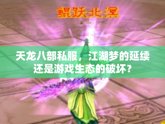 天龙八部私服，江湖梦的延续还是游戏生态的破坏？