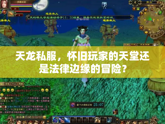 天龙私服，怀旧玩家的天堂还是法律边缘的冒险？