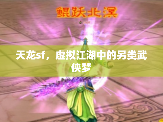 天龙sf，虚拟江湖中的另类武侠梦