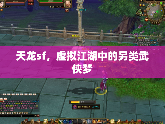 天龙sf，虚拟江湖中的另类武侠梦