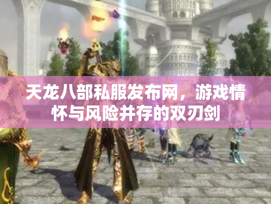 天龙八部私服发布网，游戏情怀与风险并存的双刃剑