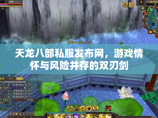 天龙八部私服发布网，游戏情怀与风险并存的双刃剑