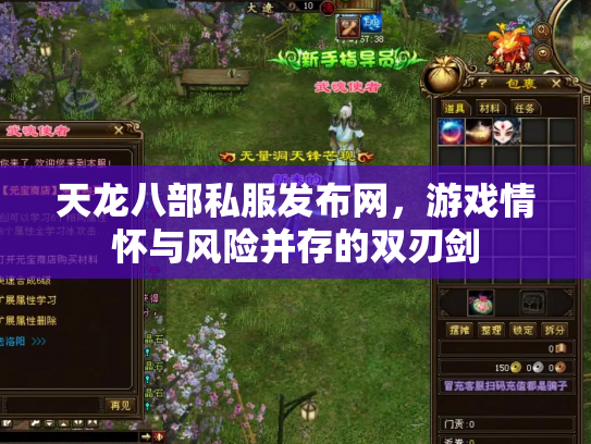 天龙八部私服发布网，游戏情怀与风险并存的双刃剑