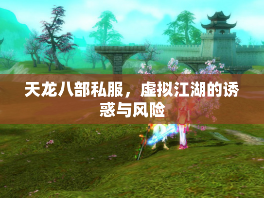 天龙八部私服，虚拟江湖的诱惑与风险