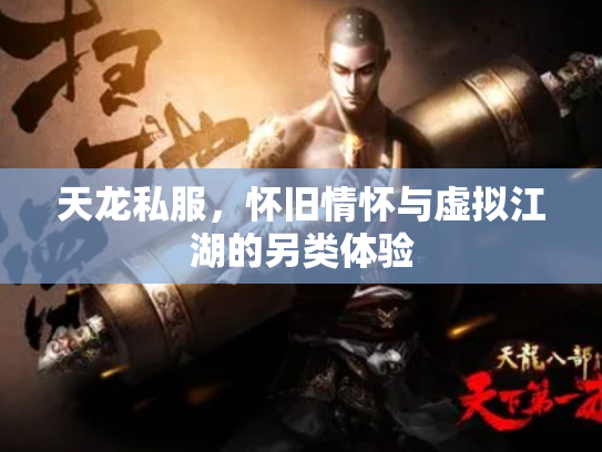 天龙私服，怀旧情怀与虚拟江湖的另类体验