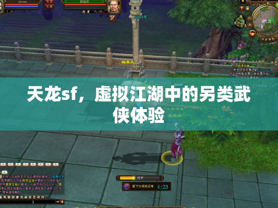 天龙sf，虚拟江湖中的另类武侠体验