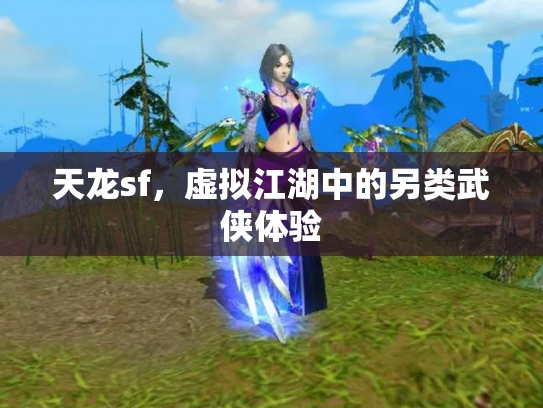 天龙sf，虚拟江湖中的另类武侠体验