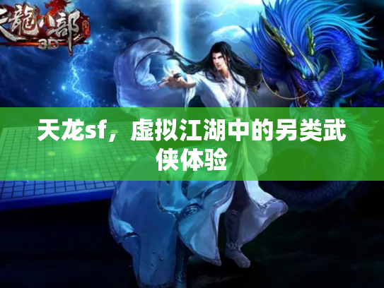 天龙sf，虚拟江湖中的另类武侠体验