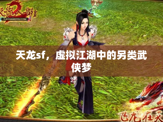 天龙sf，虚拟江湖中的另类武侠梦