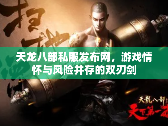 天龙八部私服发布网，游戏情怀与风险并存的双刃剑