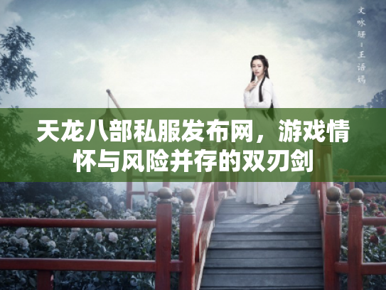 天龙八部私服发布网，游戏情怀与风险并存的双刃剑