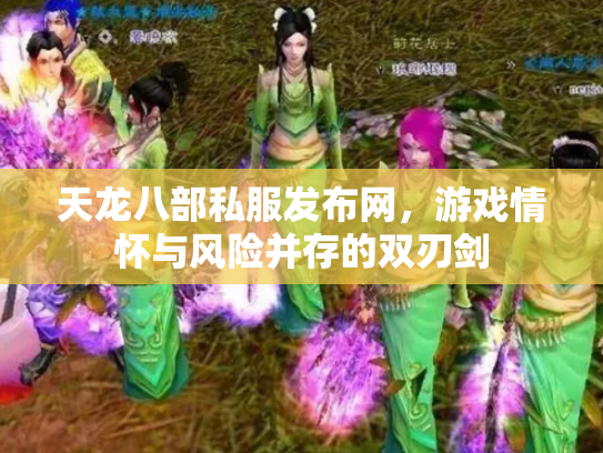 天龙八部私服发布网，游戏情怀与风险并存的双刃剑