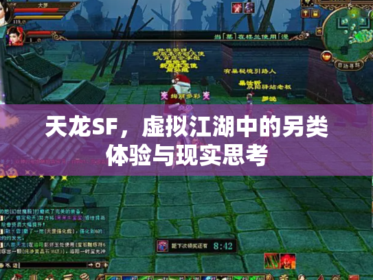 天龙SF，虚拟江湖中的另类体验与现实思考