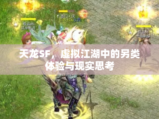 天龙SF，虚拟江湖中的另类体验与现实思考
