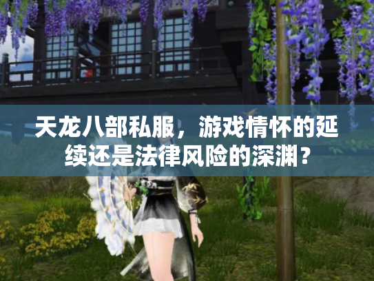 天龙八部私服，游戏情怀的延续还是法律风险的深渊？