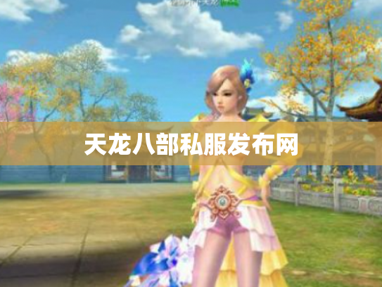 天龙八部私服发布网