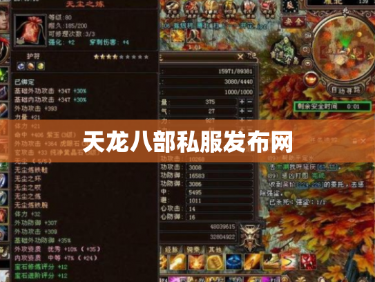 天龙八部私服发布网