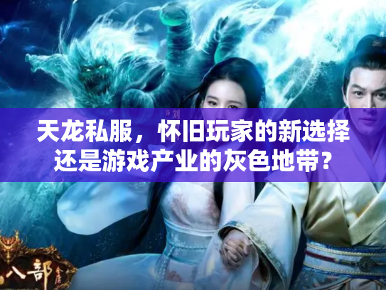 天龙私服，怀旧玩家的新选择还是游戏产业的灰色地带？