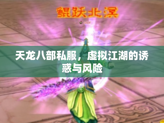 天龙八部私服，虚拟江湖的诱惑与风险