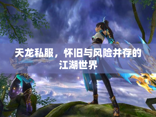 天龙私服，怀旧与风险并存的江湖世界