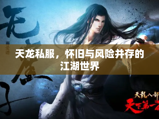 天龙私服，怀旧与风险并存的江湖世界