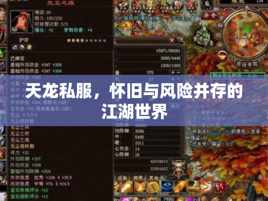 天龙私服，怀旧与风险并存的江湖世界