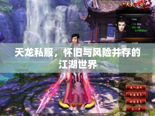 天龙私服，怀旧与风险并存的江湖世界