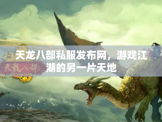 天龙八部私服发布网，游戏江湖的另一片天地