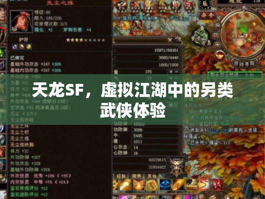 天龙SF，虚拟江湖中的另类武侠体验