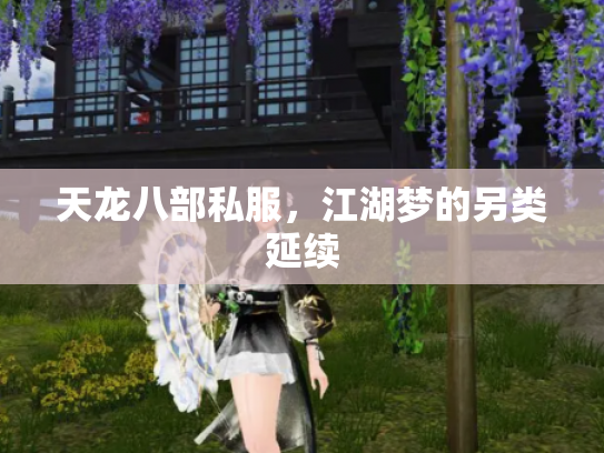 天龙八部私服，江湖梦的另类延续