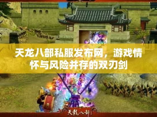 天龙八部私服发布网，游戏情怀与风险并存的双刃剑