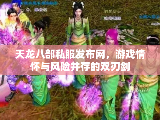 天龙八部私服发布网，游戏情怀与风险并存的双刃剑