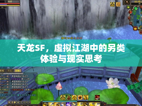 天龙SF，虚拟江湖中的另类体验与现实思考